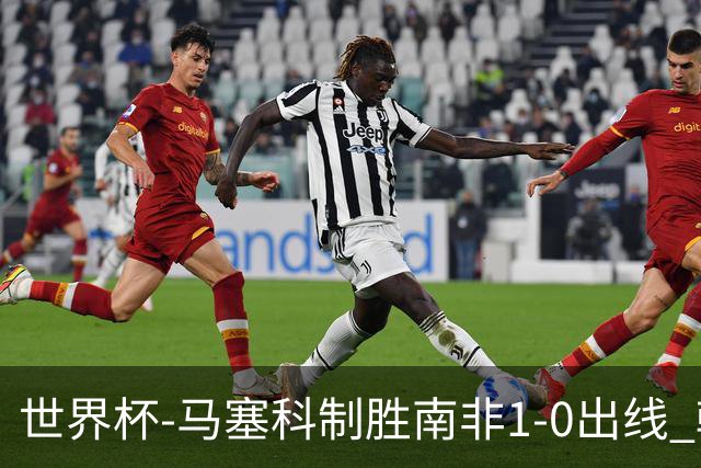 世界杯-马塞科制胜南非1-0出线 韩国积3分获小组第三待定