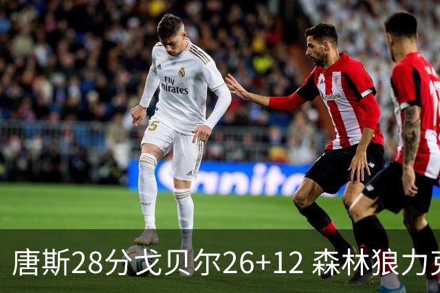 唐斯28分戈贝尔26+12 森林狼力克黄蜂4连胜