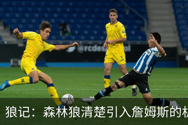 狼记：森林狼清楚引入詹姆斯的机会微乎其微 但他们积极主动招募