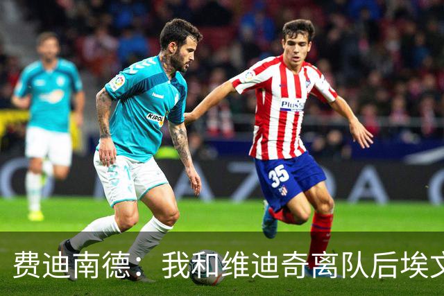 费迪南德：我和维迪奇离队后埃文斯能力最强